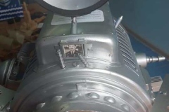 173404366_1067650520389626_3914130749294532880_n